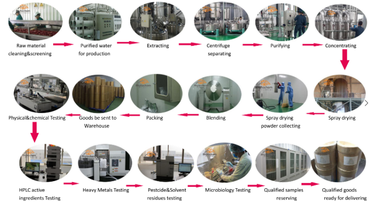 extract processing for chaga mushroom extract.png