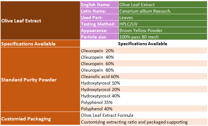 specification of olive leaf extract.png