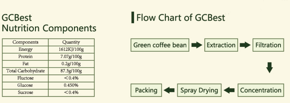 flow chart of green coffee bean extract.png