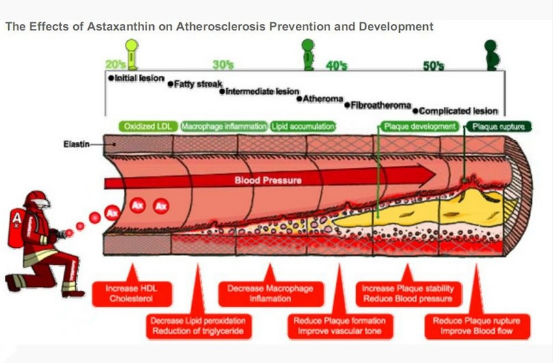 astaxanthin.png