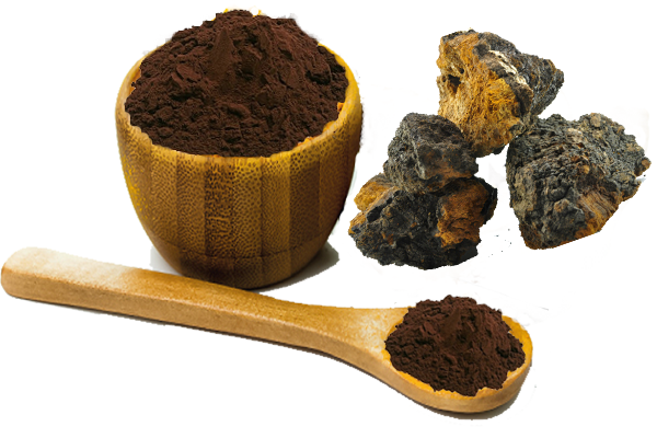 chaga mushroom powder.png