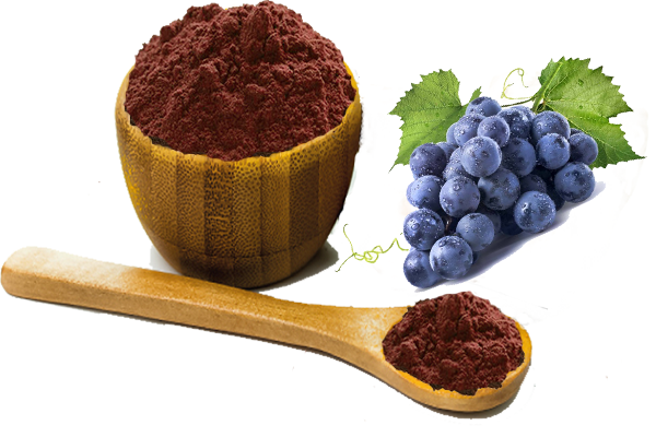 grape seed extract.png