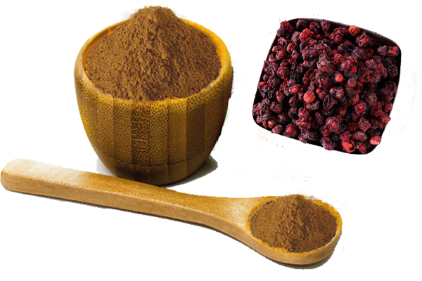 Schisandra Chinensis Extract