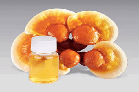 reishi spore oil.png