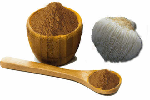 Hericium Erinaceus Beta Glucan--Fungus Extract Manufactuer