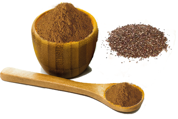 Dodder Seed Extract.png