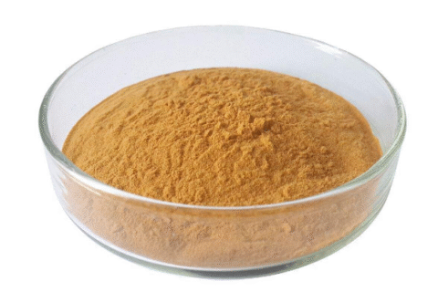 green tea extract powder.png