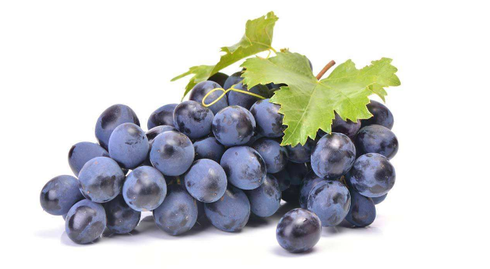 Grape Seed Extract Powder OPC 95% 90% polyphenol 60% 70% 80%