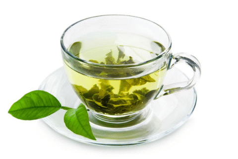 green tea extract.png