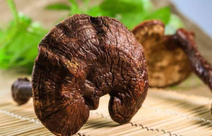 Scientific Proof Ganoderma Lucidum Triterpenoids Against Influenza