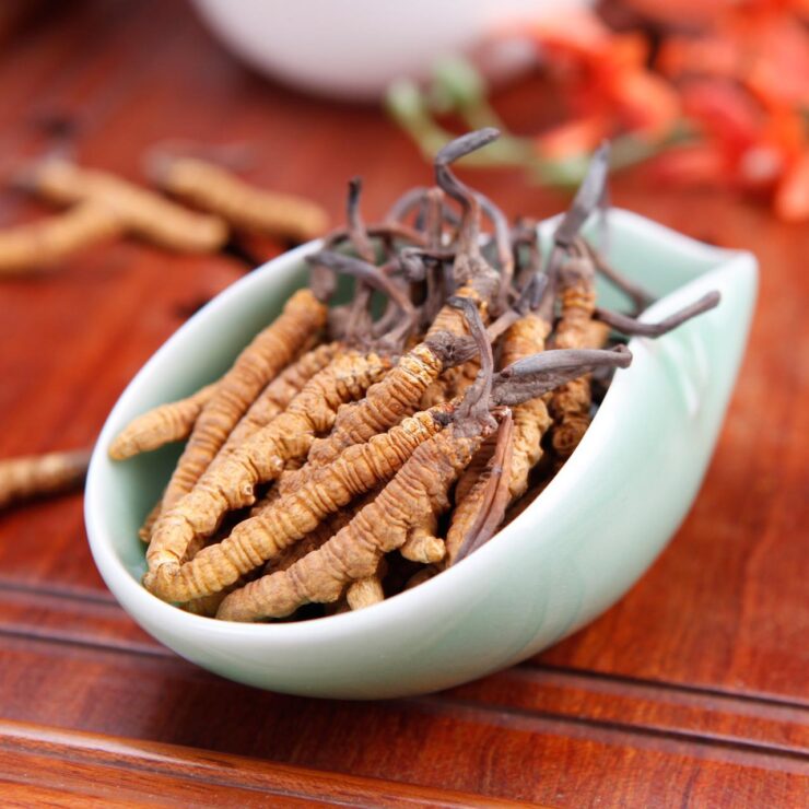 Effects of Ganoderma lucidum and Ophiocordyceps sinensis Dietary Supplementation