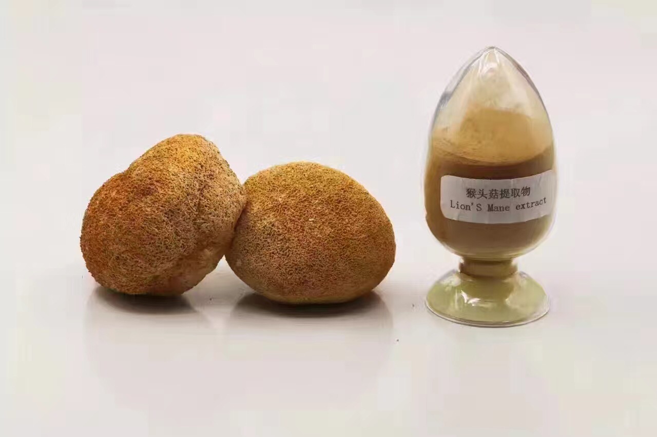 Hericium Erinaceus Beta Glucan 