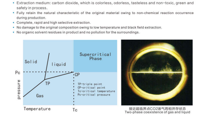 Technical Characteristics of reishi spore oil softgels
