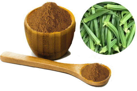 Okra (Abelmoschus Esculentus) Extract