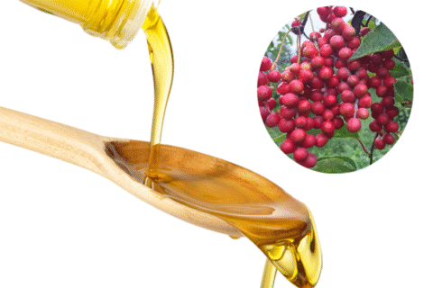 Schisandra Chinensis Oil
