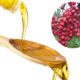 Schisandra Chinensis Oil